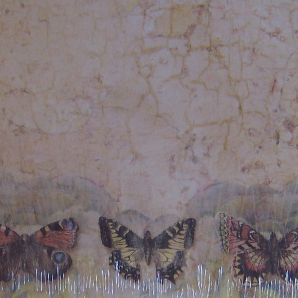 GEOGRAPHICS Marble Butterfly GeoPaper (100 sheets) - Picture 3 of 5